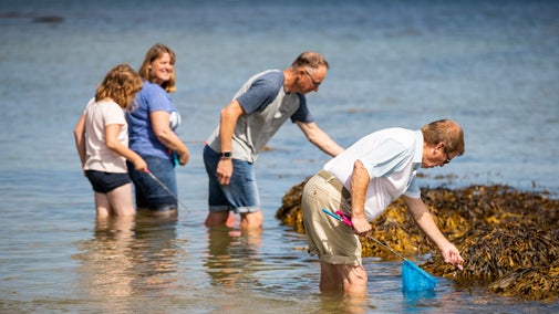 Family Crabbing at St Helen's Duver Isle of Wight